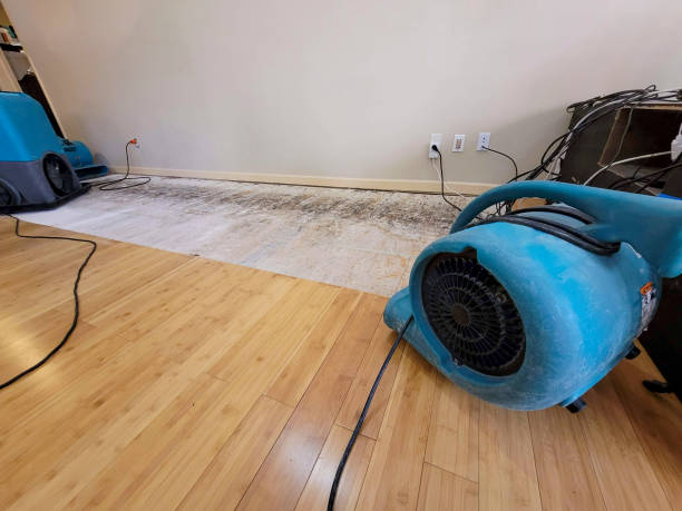 Professional Sewage Cleanup technician working in Nevada, OH